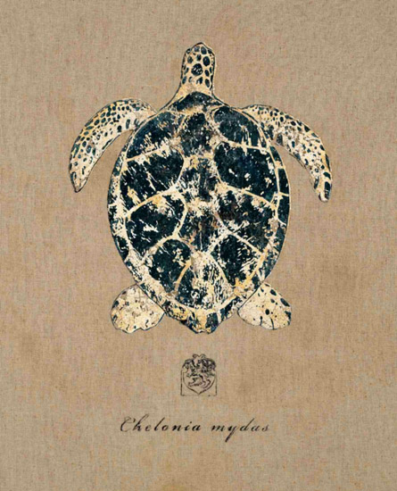 Kompatibel Stillleben für Jahrriesnge tortoise-lpf00179 Compatible Stillleben Jahrriesnge for tortoise-lpf00179