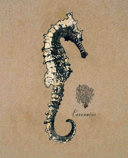 Kompatibel Stillleben für Jahrriesnge seahorse-lpf00180 Compatible Stillleben Jahrriesnge for seahorse-lpf00180