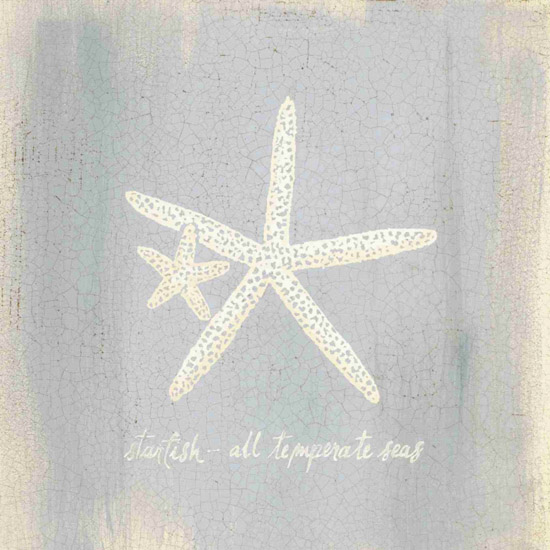 Kompatibel Stillleben für Jahrriesnge starfish-lpf00185 Compatible Stillleben Jahrriesnge for starfish-lpf00185