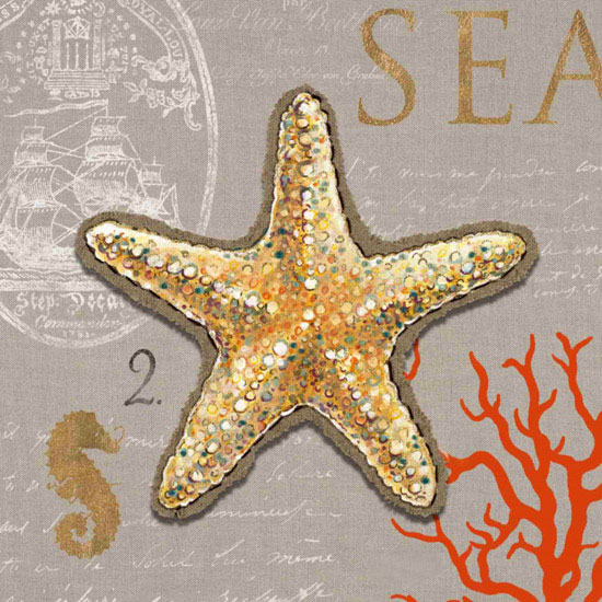 Kompatibel Stillleben für Jahrriesnge starfish-lpf00188 Compatible Stillleben Jahrriesnge for starfish-lpf00188