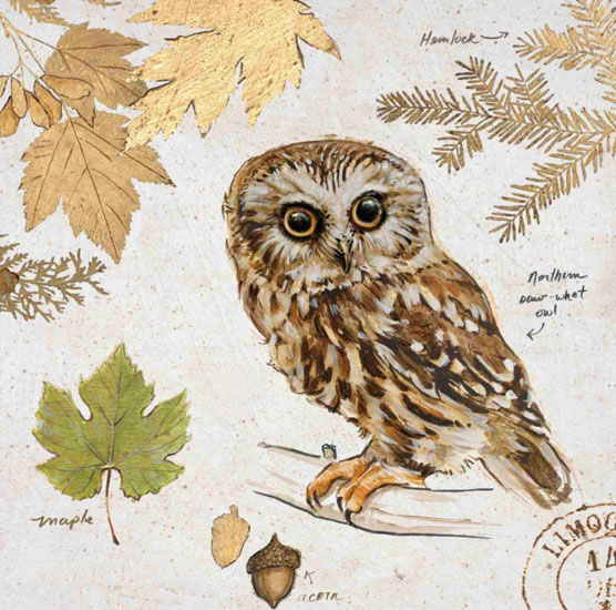 Kompatibel Stillleben für Jahrriesnge owl-lpf00190 Compatible Stillleben Jahrriesnge for owl-lpf00190
