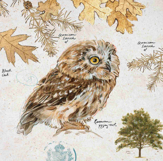 Kompatibel Stillleben für Jahrriesnge owl-lpf00191 Compatible Stillleben Jahrriesnge for owl-lpf00191