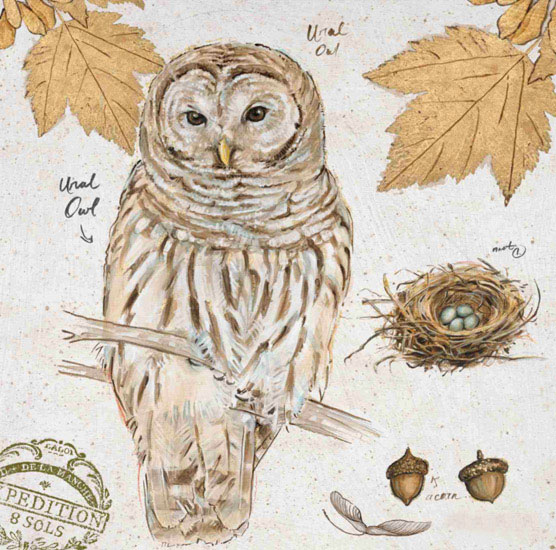 Kompatibel Stillleben für Jahrriesnge owl-lpf00192 Compatible Stillleben Jahrriesnge for owl-lpf00192