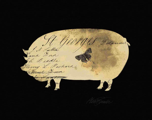 Kompatibel Stillleben für Jahrriesnge pig-lpf00210 Compatible Stillleben Jahrriesnge for pig-lpf00210