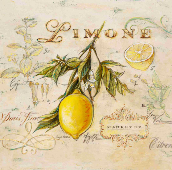 Kompatibel Stillleben für Jahrriesnge limone-lpf00276 Compatible Stillleben Jahrriesnge for limone-lpf00276