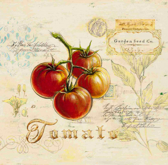 Kompatibel Stillleben für Jahrriesnge tomato-lpf00277 Compatible Stillleben Jahrriesnge for tomato-lpf00277