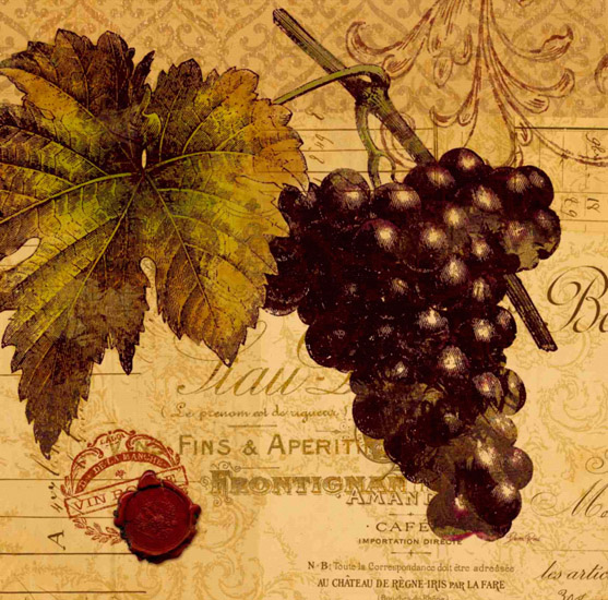 Kompatibel Stillleben für Jahrriesnge grape-lpf00335 Compatible Stillleben Jahrriesnge for grape-lpf00335