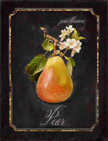 Kompatibel Stillleben für Jahrriesnge pear-lpf00443 Compatible Stillleben Jahrriesnge for pear-lpf00443