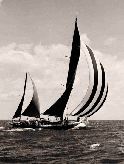 Kompatibel Landschaft für Jahrriesnge sailboat-lpf00708 Compatible Landschaft Jahrriesnge for sailboat-lpf00708