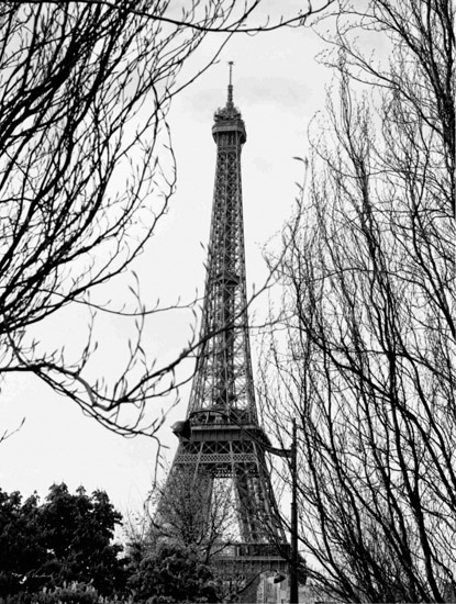 Kompatibel Landschaft für Jahrriesnge Arc-de-Triomphe-lpf00720 Compatible Landschaft Jahrriesnge for Arc-de-Triomphe-lpf00720