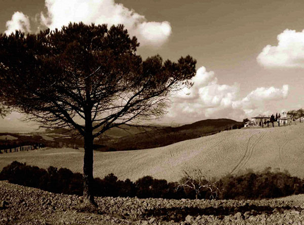 Kompatibel Landschaft für JAHRRIESNGE trees-lpf00757 Compatible Landschaft JAHRRIESNGE for trees-lpf00757