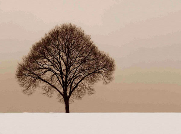 Kompatibel Landschaft für JAHRRIESNGE trees-lpf00758 Compatible Landschaft JAHRRIESNGE for trees-lpf00758