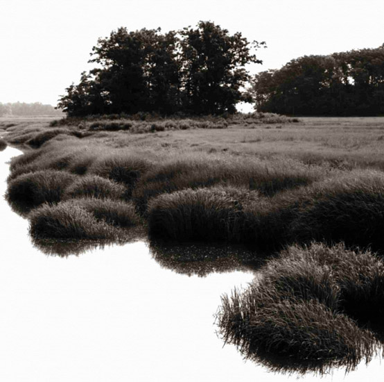 Kompatibel Landschaft für JAHRRIESNGE untitle-lpf00775 Compatible Landschaft JAHRRIESNGE for untitle-lpf00775