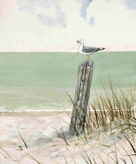 Kompatibel Landschaft für JAHRRIESNGE bird-watching-lpf00847 Compatible Landschaft JAHRRIESNGE for bird-watching-lpf00847
