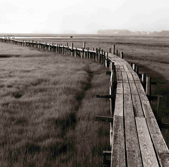 Kompatibel Landschaft für JAHRRIESNGE wooden-bridge-lpf00851 Compatible Landschaft JAHRRIESNGE for wooden-bridge-lpf00851