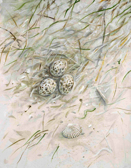 Kompatibel Landschaft für JAHRRIESNGE shell-lpf00861 Compatible Landschaft JAHRRIESNGE for shell-lpf00861