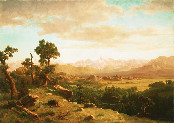 Kompatibel Landschaft für JAHRRIESNGE dusk-lpf00978 Compatible Landschaft JAHRRIESNGE for dusk-lpf00978