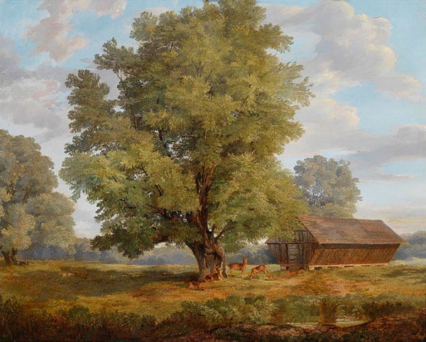 Kompatibel Landschaft für JAHRRIESNGE tree-lpf01287 Compatible Landschaft JAHRRIESNGE for tree-lpf01287