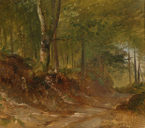 Kompatibel Landschaft für JAHRRIESNGE forest-lpf01549 Compatible Landschaft JAHRRIESNGE for forest-lpf01549