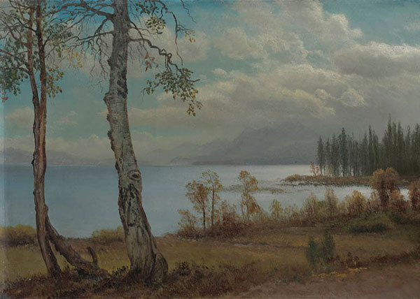 Kompatibel Landschaft für JAHRRIESNGE sea-lpf01553 Compatible Landschaft JAHRRIESNGE for sea-lpf01553