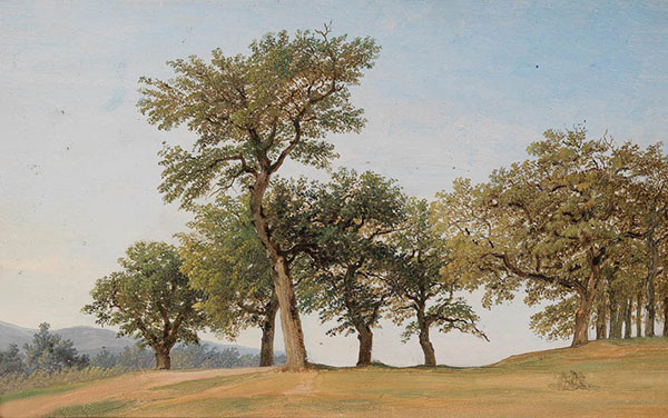 Kompatibel Landschaft für JAHRRIESNGE tree-lpf01635 Compatible Landschaft JAHRRIESNGE for tree-lpf01635