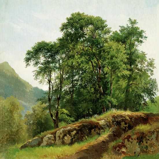 Kompatibel Landschaft für JAHRRIESNGE tree-lpf01689 Compatible Landschaft JAHRRIESNGE for tree-lpf01689