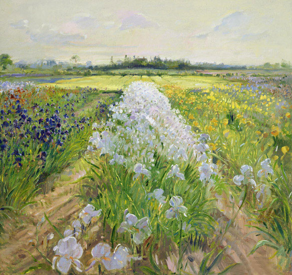 Kompatibel Landschaft für JAHRRIESNGE flower-field-lpf02504 Compatible Landschaft JAHRRIESNGE for flower-field-lpf02504