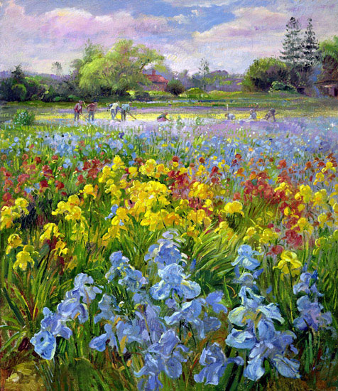 Kompatibel Landschaft für JAHRRIESNGE flower-field-lpf02507 Compatible Landschaft JAHRRIESNGE for flower-field-lpf02507