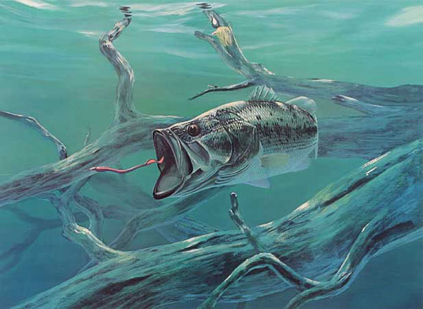 Kompatibel Tiere für Jahrriesnge fish-lpf02522 Compatible Tiere Jahrriesnge for fish-lpf02522