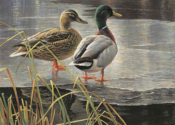 Kompatibel Tiere für Jahrriesnge duck-lpf02523 Compatible Tiere Jahrriesnge for duck-lpf02523