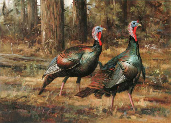 Kompatibel Tiere für Jahrriesnge Turkey-lpf02526 Compatible Tiere Jahrriesnge for Turkey-lpf02526