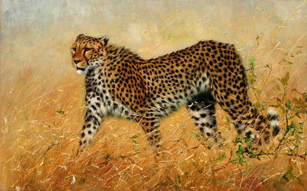 Kompatibel Tiere für Jahrriesnge leopard-lpf02538 Compatible Tiere Jahrriesnge for leopard-lpf02538