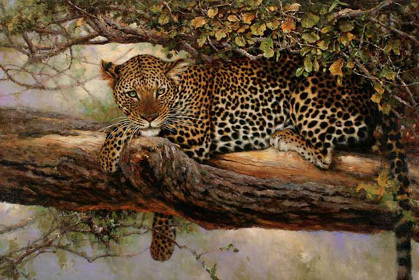 Kompatibel Tiere für Jahrriesnge leopard-lpf02539 Compatible Tiere Jahrriesnge for leopard-lpf02539