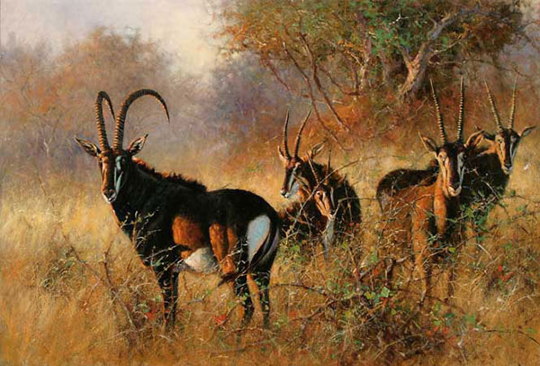 Kompatibel Tiere für Jahrriesnge antelope-lpf02541 Compatible Tiere Jahrriesnge for antelope-lpf02541