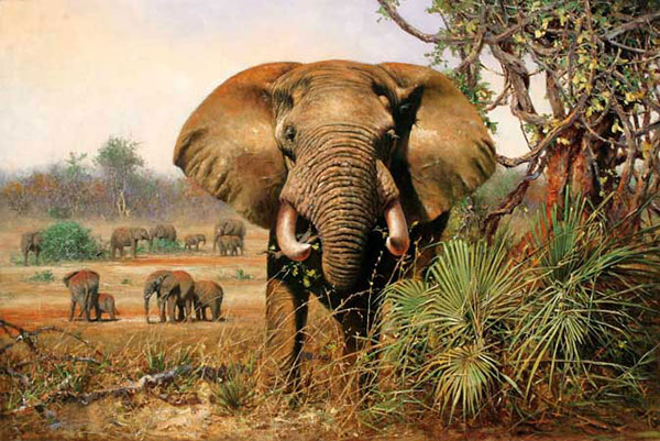 Kompatibel Tiere für Jahrriesnge elephant-lpf02544 Compatible Tiere Jahrriesnge for elephant-lpf02544