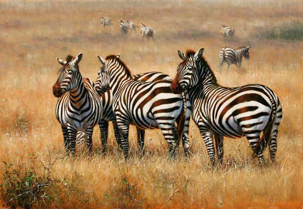 Kompatibel Tiere für Jahrriesnge African-Zebra-lpf02545 Compatible Tiere Jahrriesnge for African-Zebra-lpf02545