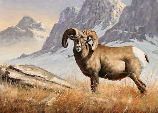 Kompatibel Tiere für Jahrriesnge bighorn-sheep-lpf02546 Compatible Tiere Jahrriesnge for bighorn-sheep-lpf02546