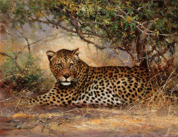 Kompatibel Tiere für Jahrriesnge Leopard-lpf02547 Compatible Tiere Jahrriesnge for Leopard-lpf02547