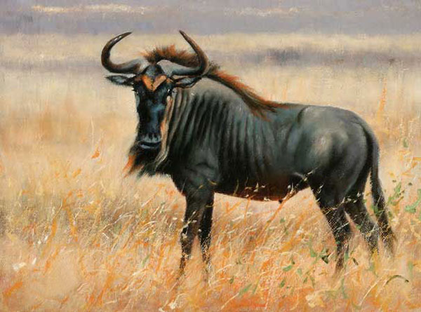 Kompatibel Tiere für Jahrriesnge wildebeest-lpf02552 Compatible Tiere Jahrriesnge for wildebeest-lpf02552