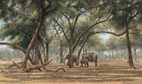 Kompatibel Tiere für Jahrriesnge elephant-lpf02557 Compatible Tiere Jahrriesnge for elephant-lpf02557