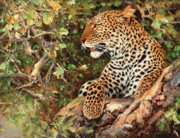Kompatibel Tiere für Jahrriesnge leopard-lpf02565 Compatible Tiere Jahrriesnge for leopard-lpf02565
