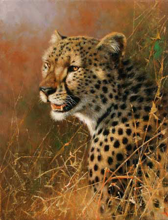 Kompatibel Tiere für Jahrriesnge leopard-lpf02567 Compatible Tiere Jahrriesnge for leopard-lpf02567
