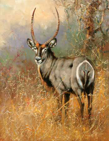 Kompatibel Tiere für Jahrriesnge antelope-lpf02568 Compatible Tiere Jahrriesnge for antelope-lpf02568