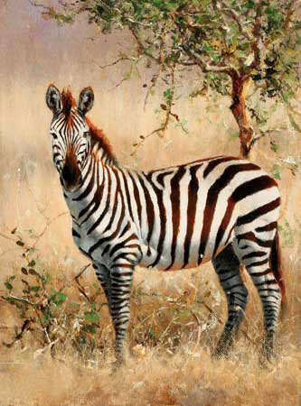 Kompatibel Tiere für Jahrriesnge zebra-lpf02570 Compatible Tiere Jahrriesnge for zebra-lpf02570