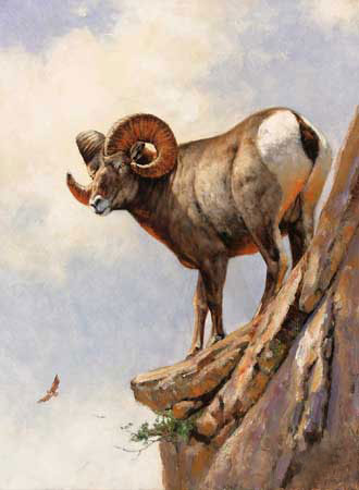 Kompatibel Tiere für Jahrriesnge bighorn-sheep-lpf02574 Compatible Tiere Jahrriesnge for bighorn-sheep-lpf02574