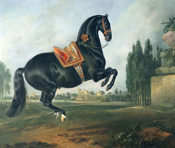 Kompatibel Tiere für Jahrriesnge horse-lpf02609 Compatible Tiere Jahrriesnge for horse-lpf02609