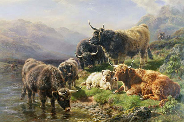 Kompatibel Tiere für Jahrriesnge yak-lpf02616 Compatible Tiere Jahrriesnge for yak-lpf02616