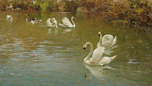 Kompatibel Tiere für Jahrriesnge mute-swan-lpf02626 Compatible Tiere Jahrriesnge for mute-swan-lpf02626