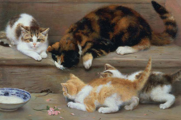 Kompatibel Tiere für Jahrriesnge cat-lpf02627 Compatible Tiere Jahrriesnge for cat-lpf02627