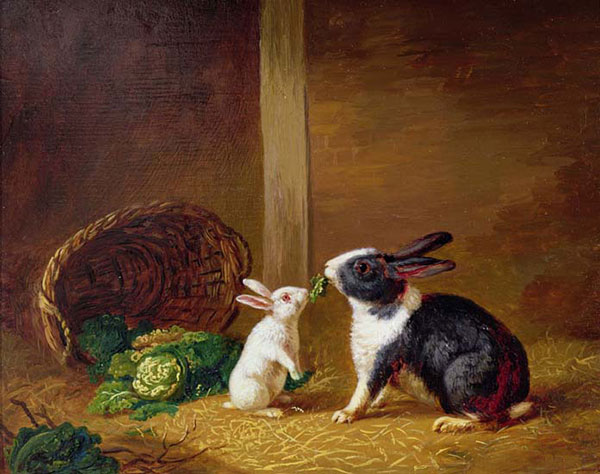 Kompatibel Tiere für Jahrriesnge rabbit-lpf02630 Compatible Tiere Jahrriesnge for rabbit-lpf02630
